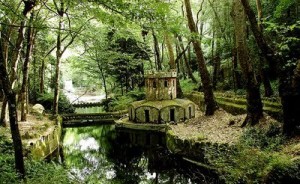 1807296919_a7830bbefc