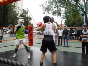 _Marvila - IV Gala de Boxe 12-10-2013 Jorge Pina e Ricardo Guedes (14)