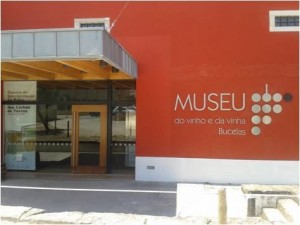 MuseuVinhoBucelas2